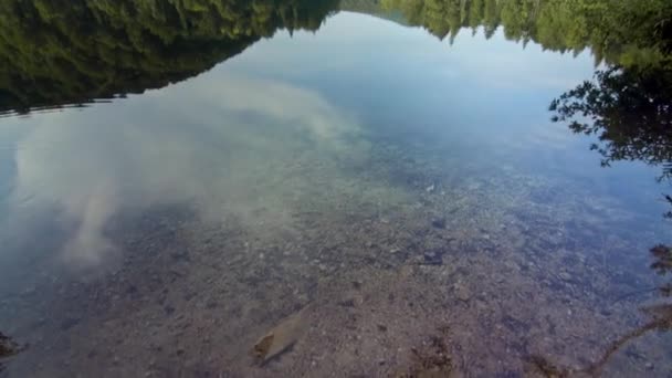Plitvice Lakes National Park το καλοκαίρι — Αρχείο Βίντεο