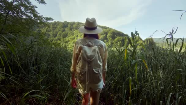Chica joven en un sombrero caminando en un parque nacional — Vídeos de Stock