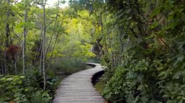 Milli Park 'ta ahşap yol