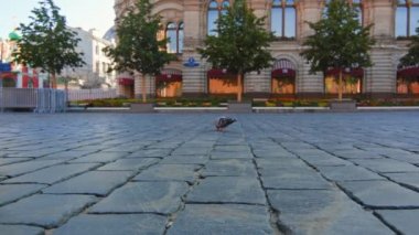 Gum 'un yanından geçen güzel ayakkabılı genç bir kız.