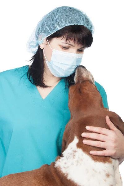Veterinaria y perro — Foto de Stock