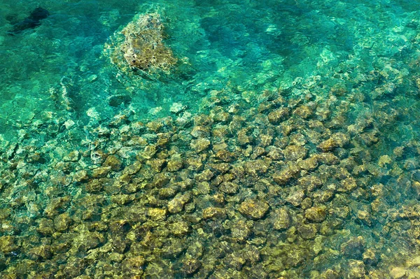 Mořské dno s kameny — Stock fotografie