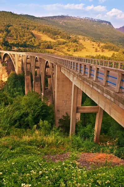 Long bridge over Tara river in Montenegro — Stock Photo, Image