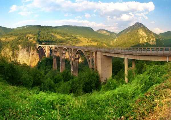 Long bridge over Tara river — Stock Photo, Image