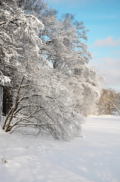 Paisaje invierno — Foto de Stock