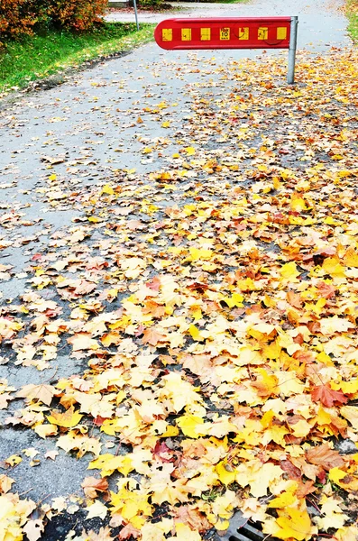 Fall of the leaves in town — Stock Photo, Image