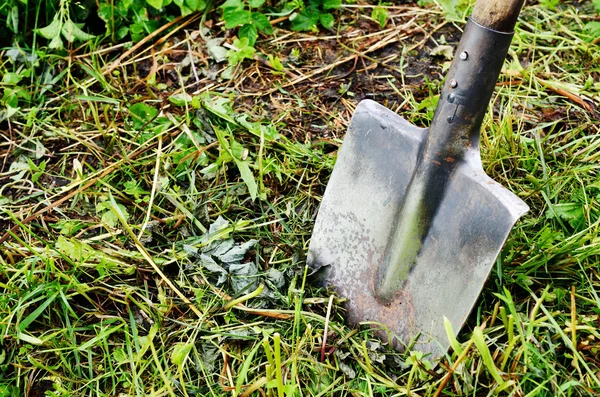 Old shovel stuck in the ground — Stock Photo, Image