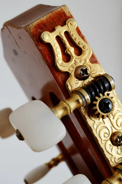 Cabeça pescoço de guitarra com pinos de afinação — Fotografia de Stock