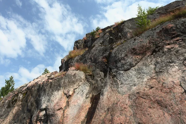 Bäume auf einem senkrechten Felsen — Stockfoto