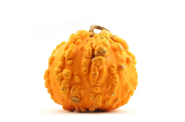 Calabaza amarilla con granos — Foto de Stock