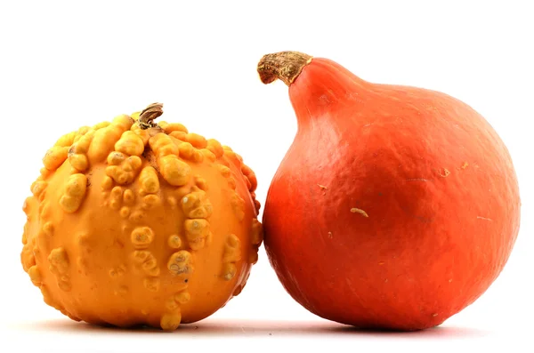 Red and yellow pumpkin — Stock Photo, Image