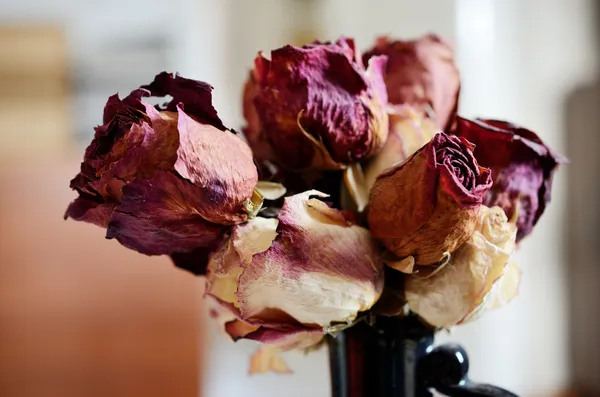 Bouquet of dried roses in vase — Stock Photo, Image