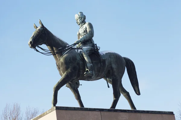 HELSINKI, FINLANDIA, 21 DE ENERO DE 2014: El monumento al Mariscal Man —  Fotos de Stock