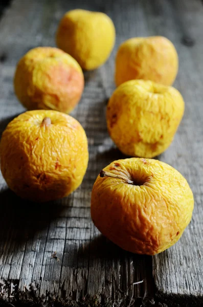 Морщинистые желтые яблоки на дереве — стоковое фото