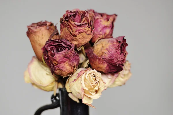 Bouquet of dried roses in ceramic vase — Stock Photo, Image