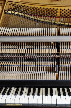 inside the piano: string, pins, keys 