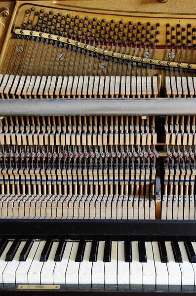 Dentro do piano: corda, pinos, chaves — Fotografia de Stock