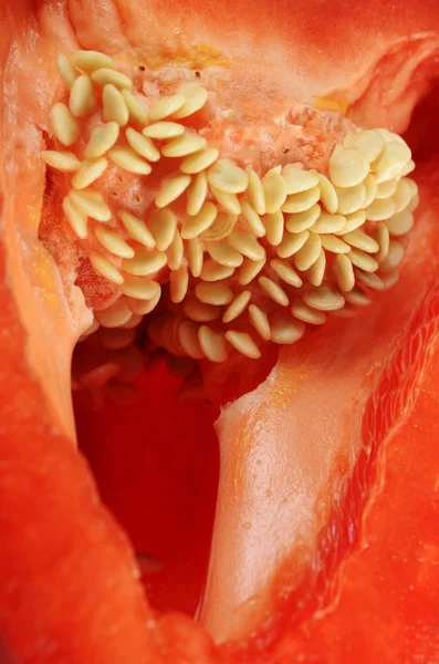 Half a pod of red pepper — Stock Photo, Image