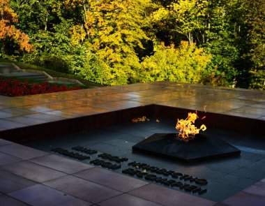 Petrozavbodsk, Rusya 'daki bilinmeyen askerin anısına.