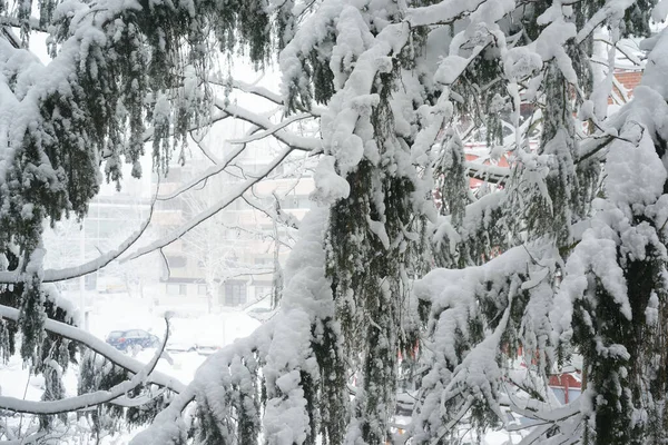 Vista Invierno Una Pequeña Ciudad Finlandesa Después Una Fuerte Nevada — Foto de Stock