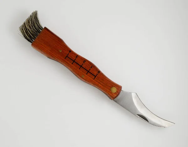 Beyaz Arka Planda Fırçalı Mantar Bıçağı — Stok fotoğraf