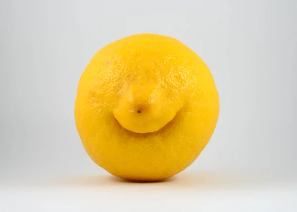 Vreemd Grappig Glimlachen Citroen Neutrale Achtergrond — Stockfoto