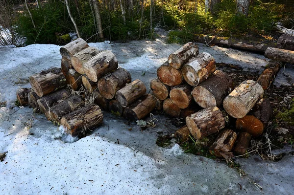 冬の森の中の雪の上の薪の山 — ストック写真