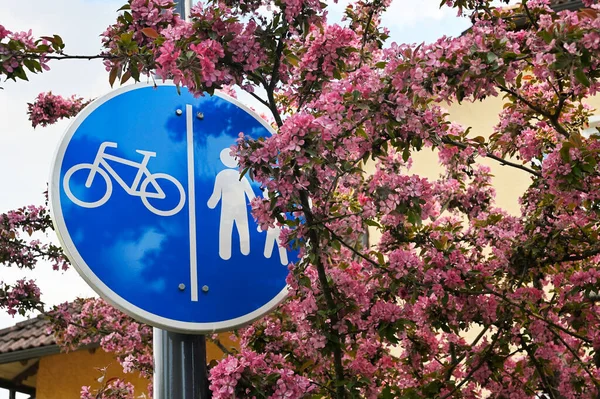 Sign Bike Path Footpath Blossoming Apple Tree Flowers — Stock Photo, Image