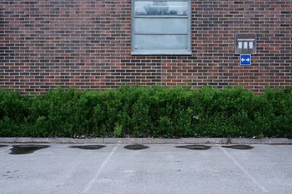 Parking Red Brick Wall Green Bushes Deadpan Photodraphy — 스톡 사진