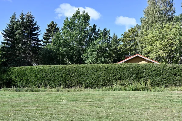 the roof of the house is visible behind the green hedge, deadpan photography