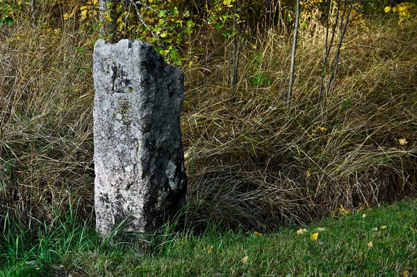 Ormanda Yosunlu Granit Sınır Taşı — Stok fotoğraf