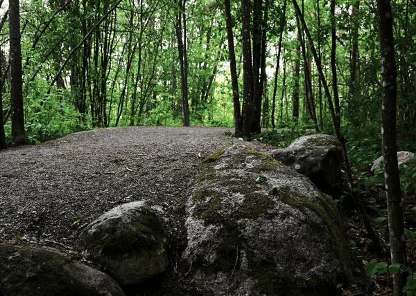 Walking Dirt Path Park Moss Covered Rocks — Stock Photo, Image