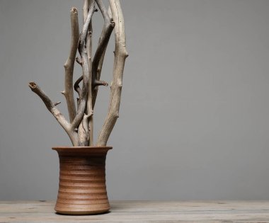 Seramik vazodaki kuru ağaç dallarının bileşimi, metin için yer