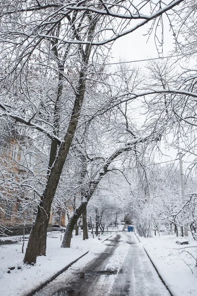 Winter in het stadspark — Stockfoto
