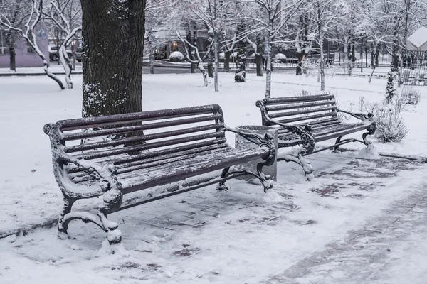 Parque de invierno cubierto de nieve blanca — Foto de Stock