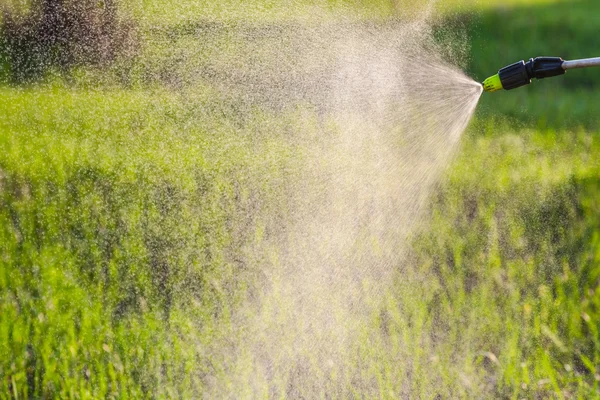 Het gazon water met een sproeier — Stockfoto