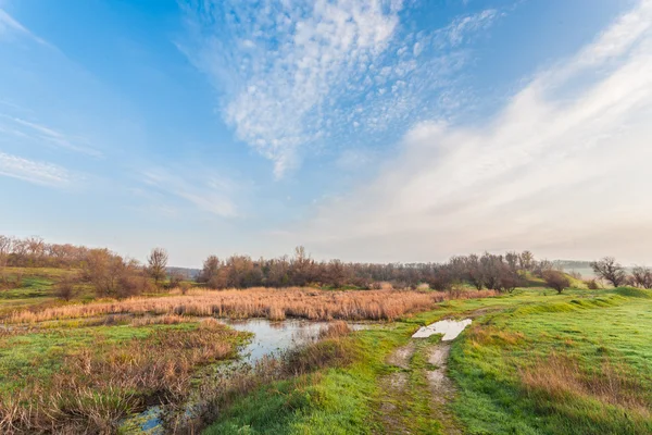 Narrow country road in the Ukraine — Stock Photo, Image