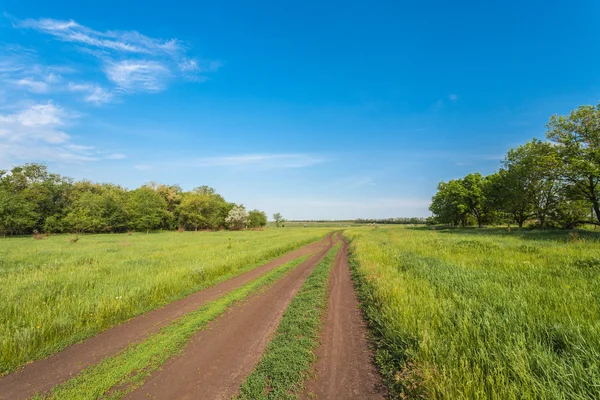 Деревенская дорога в летнем поле — стоковое фото