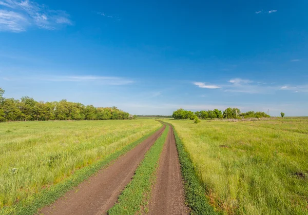 Деревенская дорога в летнем поле — стоковое фото