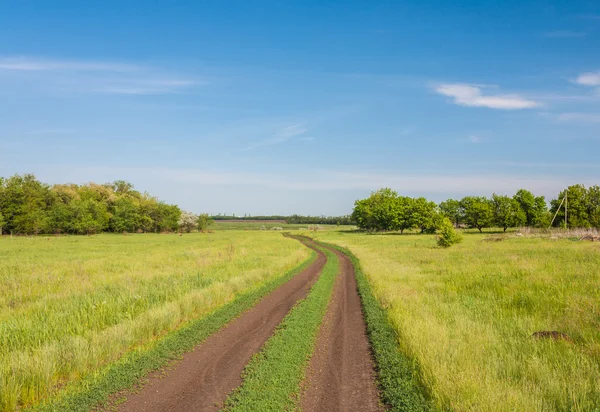 Route de campagne en champ d'été — Photo