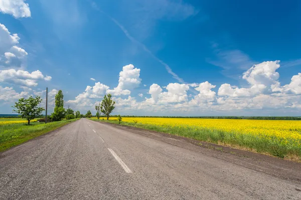 Kanola alanları olan kırsal yol — Stok fotoğraf