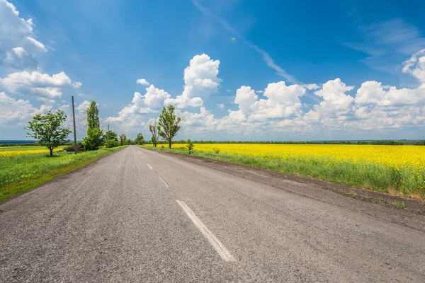 Kanola alanları olan kırsal yol — Stok fotoğraf