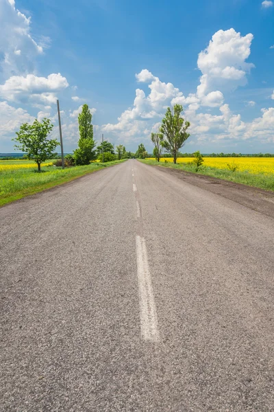 Rural road with fields of canola — Stock Photo, Image