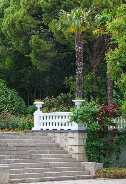 Beau parc avec des roses en fleurs — Photo