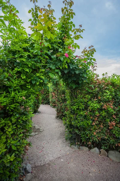 Růže oblouk v zahradě anglické země — Stock fotografie