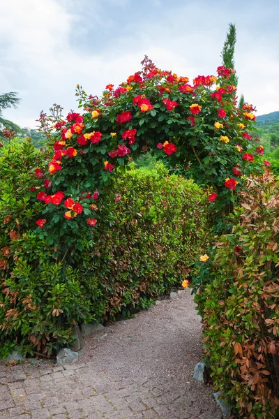 Rose Arch in English Country Garden — Stock Photo, Image