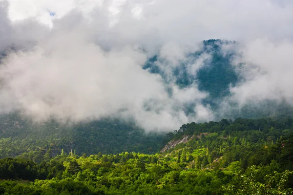 Nevoeiro na montanha — Fotografia de Stock