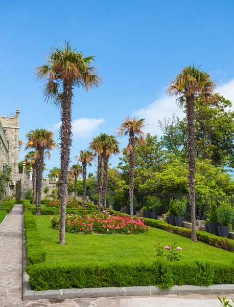 Garten mit Palmen und Blumen. — Stockfoto