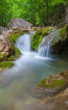 büyük Kanyon'da çağlayan,
