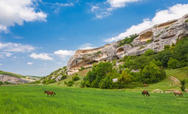 yeşil alan, dağlar ve atlar